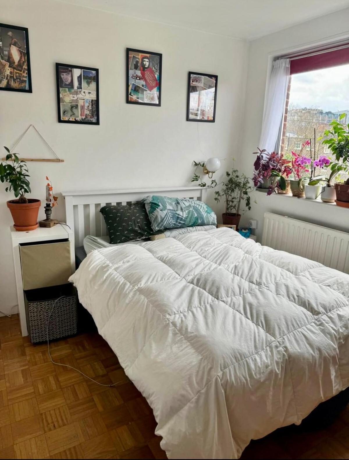 Appartement Quiet Cosy Flat In Amazing Location